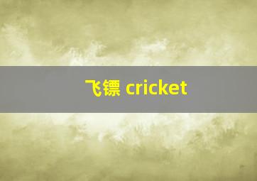 飞镖 cricket